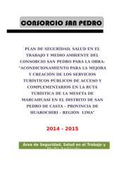 PLAN DE SEGURIDAD SALUD EN EL TRABAJO Y MEDIO AMBIENTE - MARCAHUASI.docx