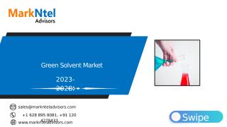 Global Green Solvent Market Research Report Forecast (2023-2028) (1).pptx