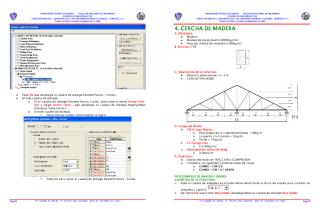 manual SAP2000V14 004 CERCHA DE MADERA.pdf