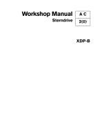 XDP-B.pdf