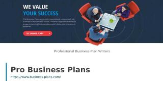 Pro Business Plans.ppt